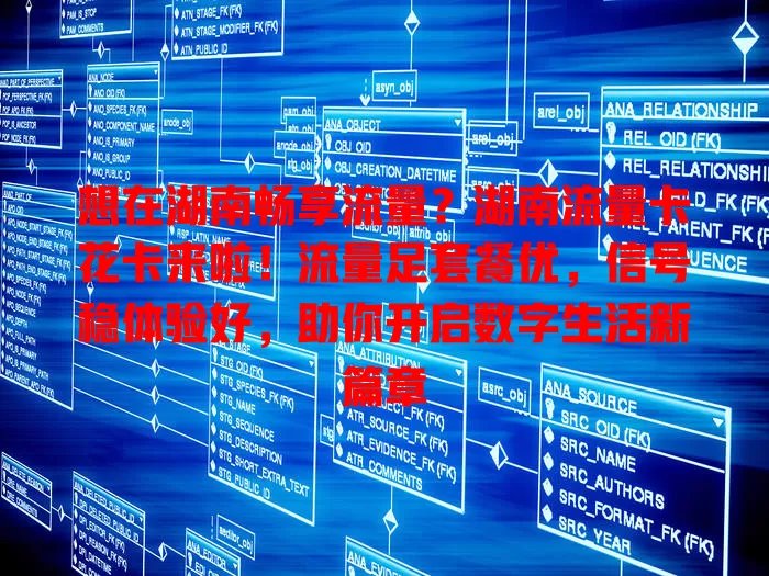 想在湖南畅享流量？湖南流量卡花卡来啦！流量足套餐优，信号稳体验好，助你开启数字生活新篇章