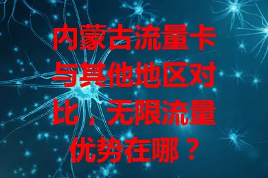内蒙古流量卡与其他地区对比，无限流量优势在哪？