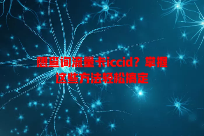 想查询流量卡iccid？掌握这些方法轻松搞定
