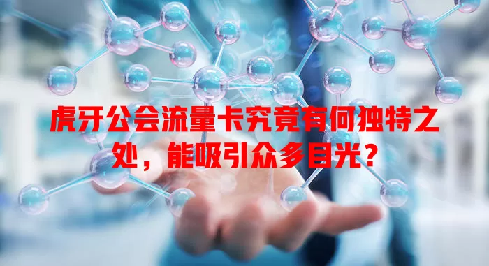 虎牙公会流量卡究竟有何独特之处，能吸引众多目光？