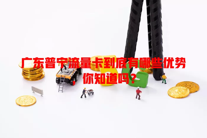 广东普宁流量卡到底有哪些优势，你知道吗？