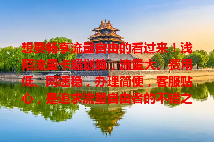 想要畅享流量自由的看过来！浅陌流量卡超划算，流量大、费用低、网速稳，办理简便，客服贴心，是追求流量自由者的不错之选