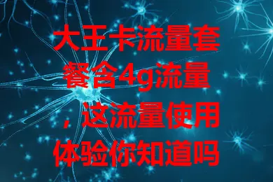 大王卡流量套餐含4g流量，这流量使用体验你知道吗？