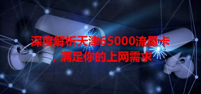 深度解析天津65000流量卡，满足你的上网需求
