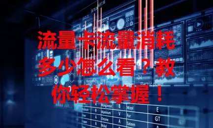 流量卡流量消耗多少怎么看？教你轻松掌握！