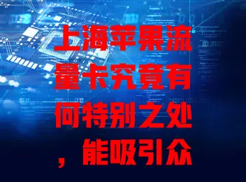 上海苹果流量卡究竟有何特别之处，能吸引众多用户？