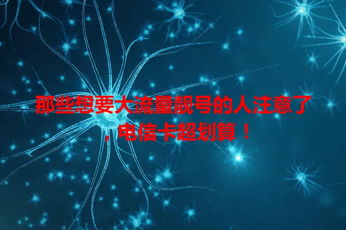 那些想要大流量靓号的人注意了，电信卡超划算！