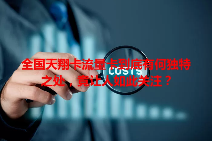 全国天翔卡流量卡到底有何独特之处，竟让人如此关注？