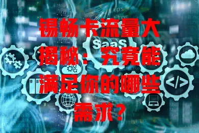锡畅卡流量大揭秘：究竟能满足你的哪些需求？