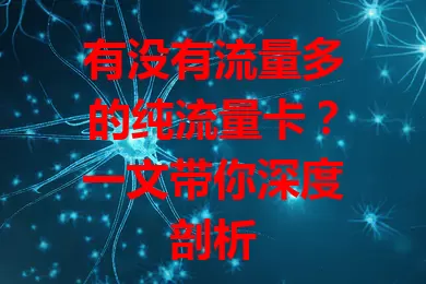 有没有流量多的纯流量卡？一文带你深度剖析
