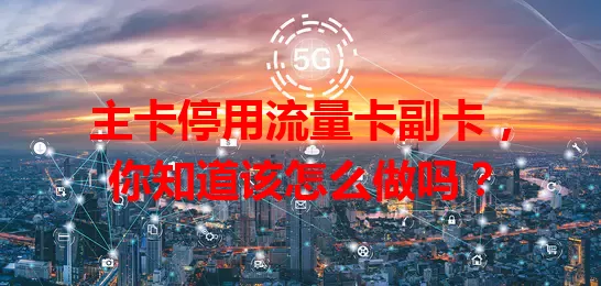 主卡停用流量卡副卡，你知道该怎么做吗？
