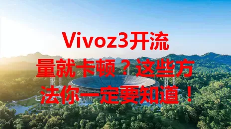 Vivoz3开流量就卡顿？这些方法你一定要知道！