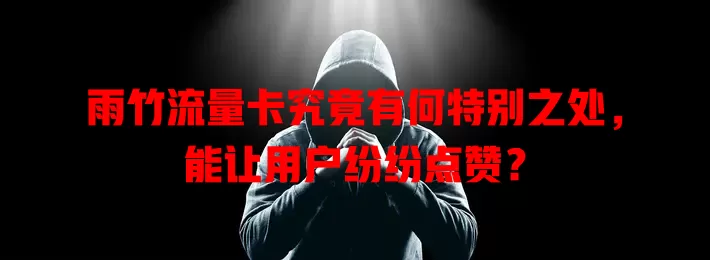 雨竹流量卡究竟有何特别之处，能让用户纷纷点赞？