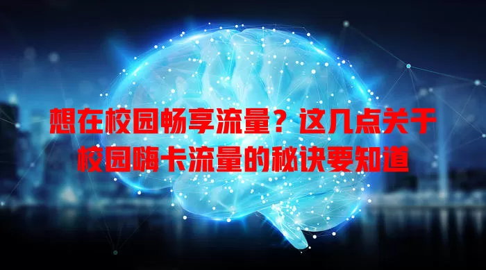 想在校园畅享流量？这几点关于校园嗨卡流量的秘诀要知道