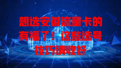 想选安徽流量卡的有福了！这些选号技巧请收好