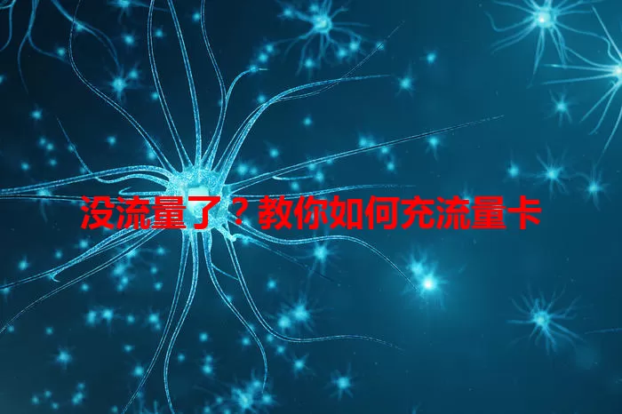 没流量了？教你如何充流量卡
