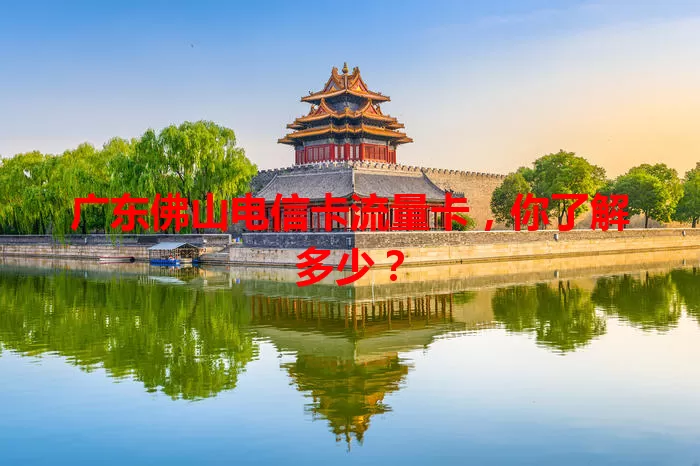 广东佛山电信卡流量卡，你了解多少？