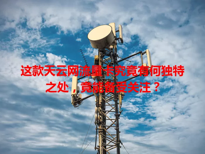 这款天云网流量卡究竟有何独特之处，竟能备受关注？