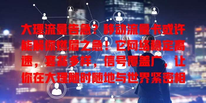 大理流量告急？移动流量卡或许能解你燃眉之急！它网络稳定高速，套餐多样，信号覆盖广，让你在大理随时随地与世界紧密相连，畅享便捷丰富网络体验