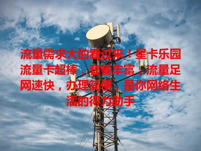 流量需求大的看过来！星卡乐园流量卡超棒，套餐丰富，流量足网速快，办理简便，是你网络生活的得力助手