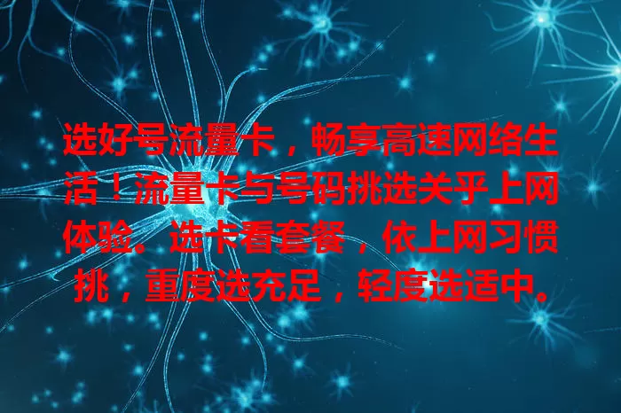 选好号流量卡，畅享高速网络生活！流量卡与号码挑选关乎上网体验。选卡看套餐，依上网习惯挑，重度选充足，轻度选适中。网速要快，选号有学问，确保可用稳定，多比较找适合的，拥抱精彩网络。