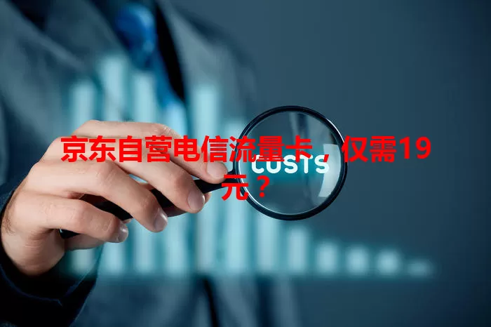 京东自营电信流量卡，仅需19元？