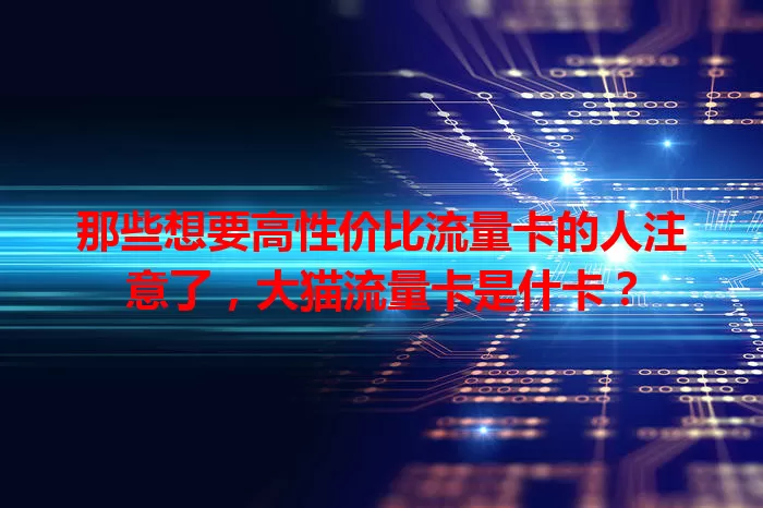那些想要高性价比流量卡的人注意了，大猫流量卡是什卡？