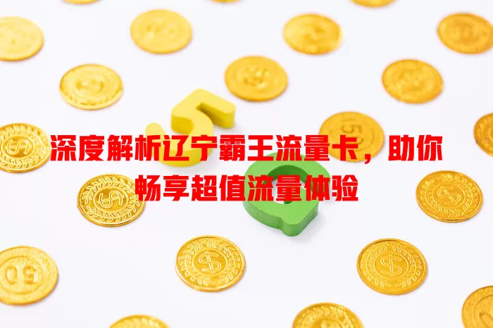 深度解析辽宁霸王流量卡，助你畅享超值流量体验