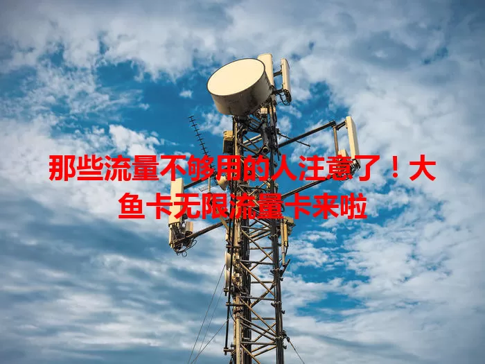 那些流量不够用的人注意了！大鱼卡无限流量卡来啦