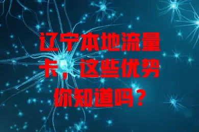 辽宁本地流量卡，这些优势你知道吗？