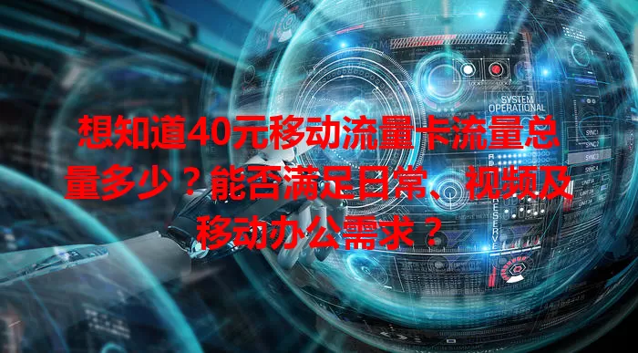 想知道40元移动流量卡流量总量多少？能否满足日常、视频及移动办公需求？