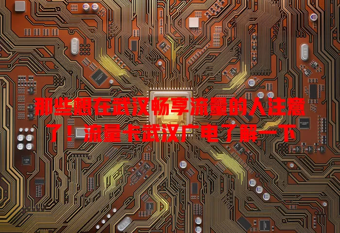 那些想在武汉畅享流量的人注意了！流量卡武汉广电了解一下