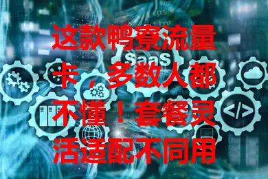这款鸭寮流量卡，多数人都不懂！套餐灵活适配不同用户，网速快还稳定，费用亲民省[X]%。选卡先明确上网习惯，关注信号、网速等，参考评价，让鸭寮流量卡服务你的网络生活
