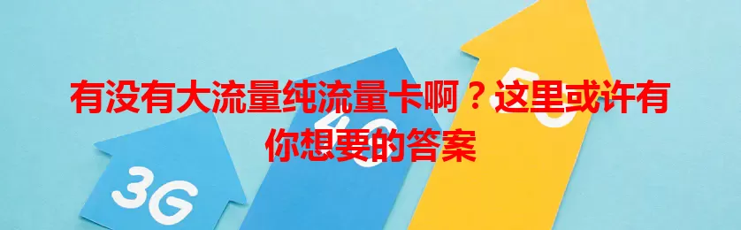 有没有大流量纯流量卡啊？这里或许有你想要的答案