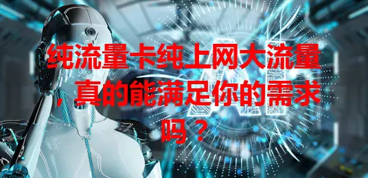 纯流量卡纯上网大流量，真的能满足你的需求吗？