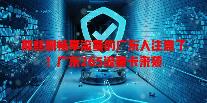 那些想畅享流量的广东人注意了！广东265流量卡来袭