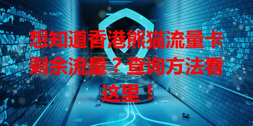 想知道香港熊猫流量卡剩余流量？查询方法看这里！