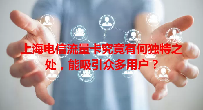 上海电信流量卡究竟有何独特之处，能吸引众多用户？