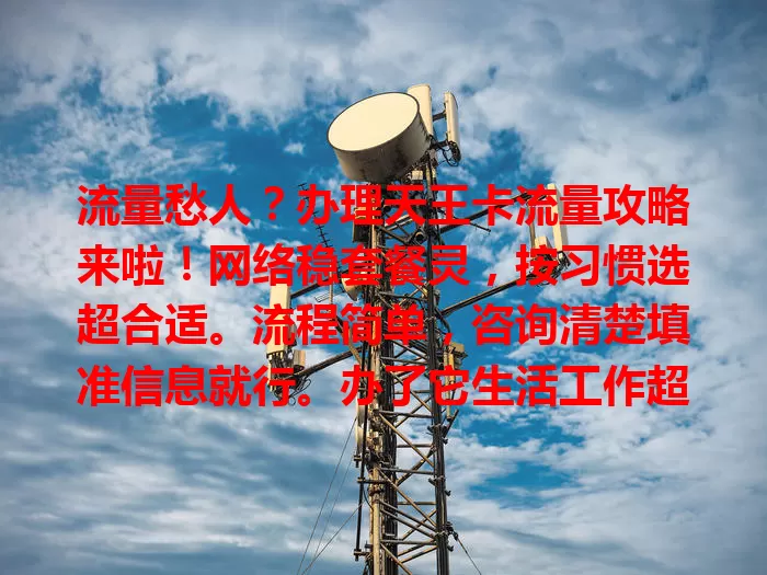 流量愁人？办理天王卡流量攻略来啦！网络稳套餐灵，按习惯选超合适。流程简单，咨询清楚填准信息就行。办了它生活工作超便捷，告别流量烦恼快开启畅快网络之旅！
