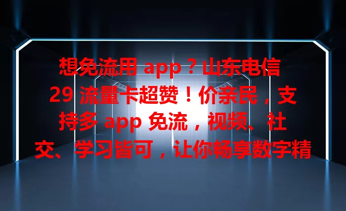 想免流用 app？山东电信 29 流量卡超赞！价亲民，支持多 app 免流，视频、社交、学习皆可，让你畅享数字精彩，无惧流量费