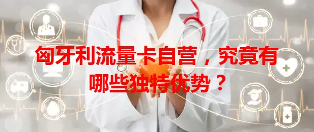 匈牙利流量卡自营，究竟有哪些独特优势？
