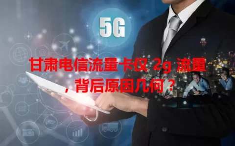 甘肃电信流量卡仅 2g 流量，背后原因几何？