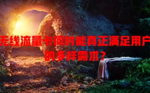 无线流量卡何时能真正满足用户的多样需求？