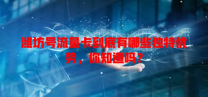 潍坊号流量卡到底有哪些独特优势，你知道吗？