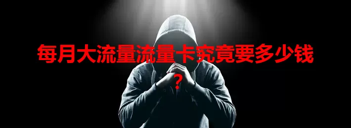 每月大流量流量卡究竟要多少钱？