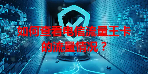 如何查看电信流量王卡的流量情况？
