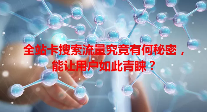 全站卡搜索流量究竟有何秘密，能让用户如此青睐？