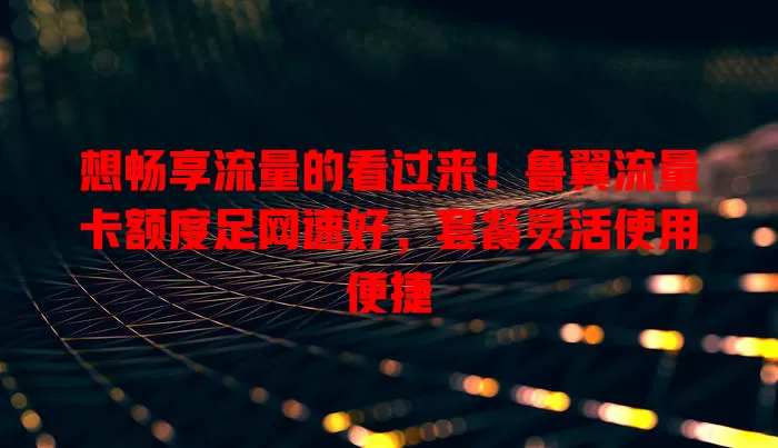 想畅享流量的看过来！鲁翼流量卡额度足网速好，套餐灵活使用便捷