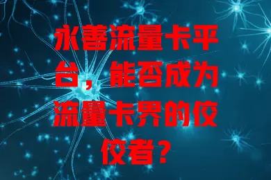 永善流量卡平台，能否成为流量卡界的佼佼者？