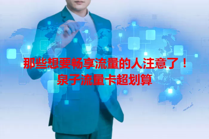 那些想要畅享流量的人注意了！泉子流量卡超划算